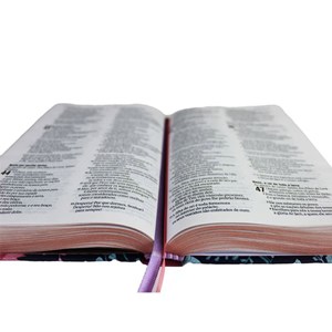 Bíblia Sagrada Primavera | Letra Normal | NAA | Capa Dura