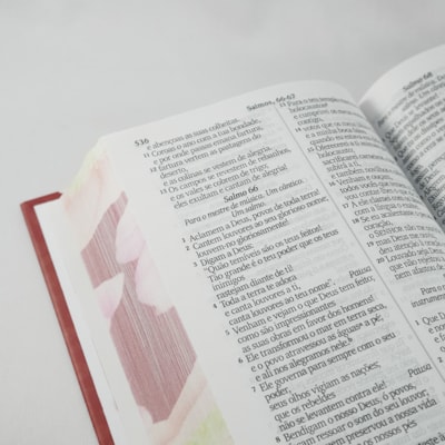 image_d244a55c-d5f1-46db-a1d1-750b2926610a