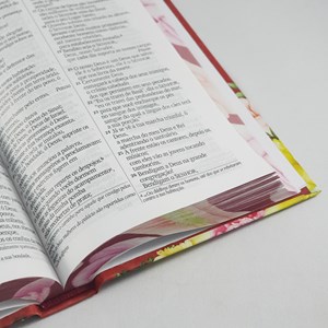 Bíblia Sagrada Primavera | NVI | Letra Gigante | Capa Dura