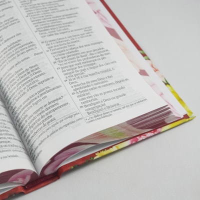 image_7e7f1ddc-59c8-4854-aa7c-6612f9e13624