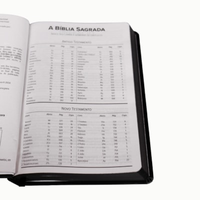 image_3b8f3ac2-0534-4d36-a985-c7228c5671af