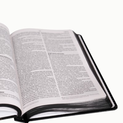 image_b3876fcc-6028-4724-8dac-8c003eab6890