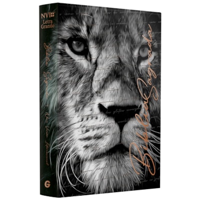 Imagem Principal - 427e5eb3-5a36-4d30-a72a-aeadd1a80e51