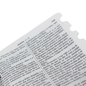 Bíblia Sagrada Raminhos | ARC | Letra Grande | Capa Pink C/ Zíper e Índice