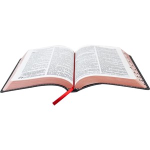 Bíblia Sagrada RC 1969 | ARC | Letra Grande | Capa Preta C/ Índice