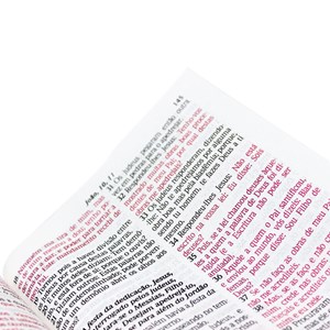 Bíblia Sagrada RC 1969 | ARC | Letra Normal | Capa Brochura Ilustrada Preta