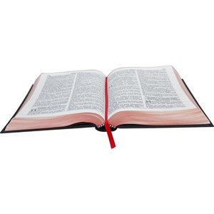 Bíblia Sagrada RC 1969 | ARC | Letra Normal | Capa Dura Ilustrada Preta