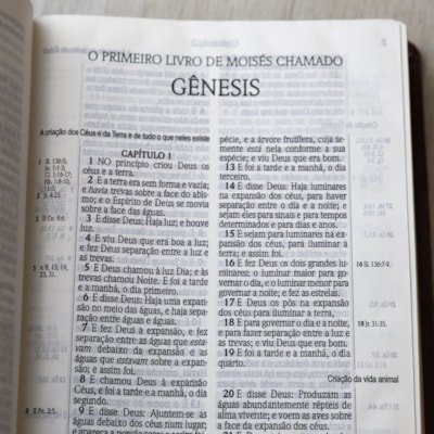 image_da0c73df-5631-4a87-89a2-fef5545fd100