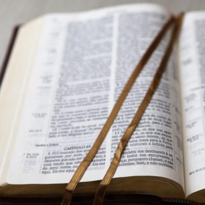 image_e43708ba-d52e-437d-aa8b-bd5b0f3b6123