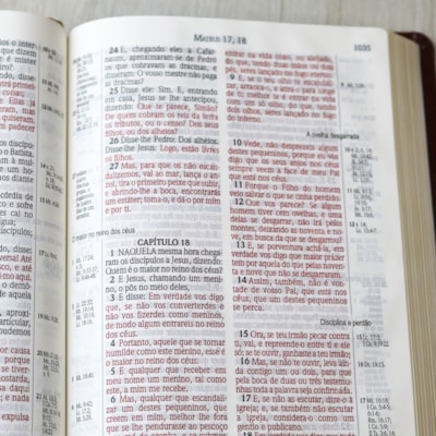 image_035231ca-9b97-4635-acd6-9e90f6d3eea8