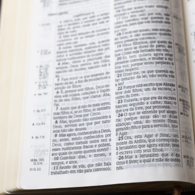 image_1b80e2d3-9ae5-4ba2-a9b0-7d456ba04bcb