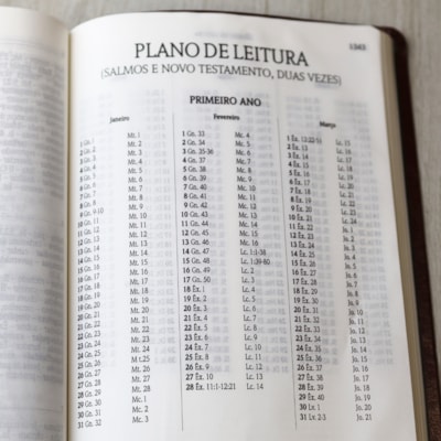 image_3d99fe2c-038b-457b-b6d8-3d99a51dbcda