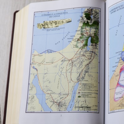 image_f348e5ab-ade1-4b45-acbd-72241dc0ef63