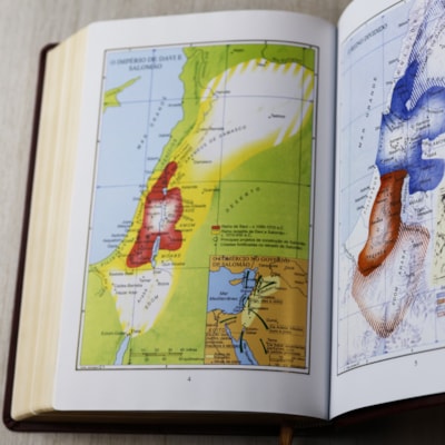 image_61bd7ca6-78c7-4328-85de-6d10329be09f