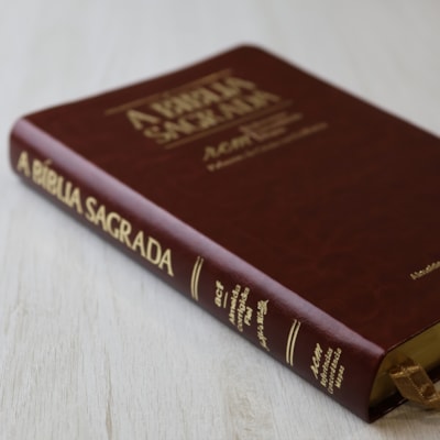 image_9f44f54f-bd8b-4f13-8304-c3e1ed9a42e3