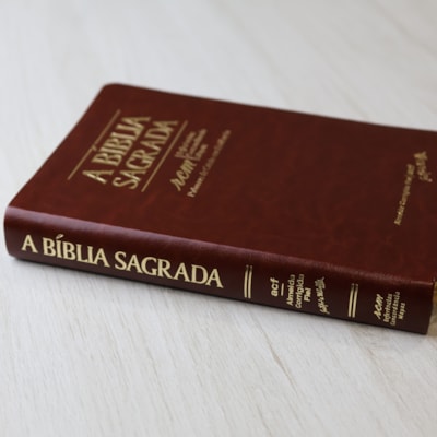 image_15c2d9ad-8d07-482f-be0b-4f7d11f03301