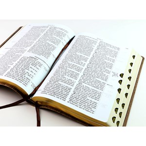 Bíblia Sagrada RCM | ACF | Letra Gigante | Capa PU Luxo Bicolor C/ Índice