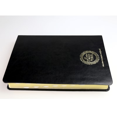 image_206db318-7bc6-43a3-9cc1-7118f04e6645