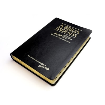 image_6de6de0a-b536-4dcc-bfe9-3c9c16d1c3f8