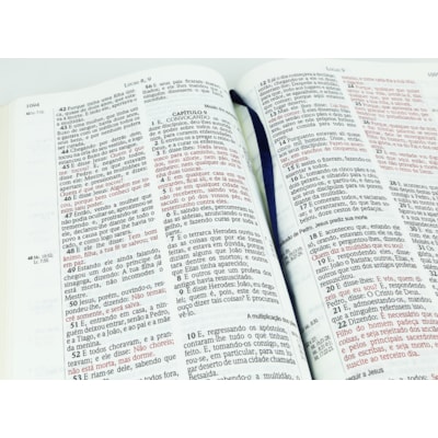 image_b9b61dcb-cc47-4211-9d72-2b9ca613dd2f