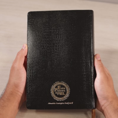 image_0064dcc3-b2e2-400c-9762-42fb45c6ec53