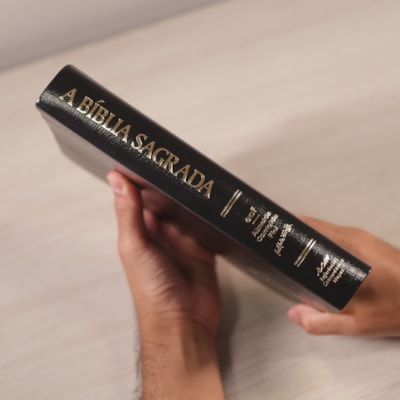 image_97afbe75-0a3d-4511-9f55-e39c4e556fc8