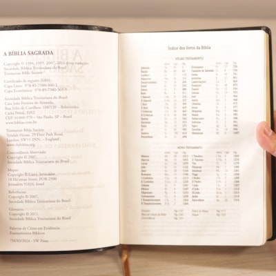 image_804f109f-f86e-4ce0-b98d-61efdfec51aa