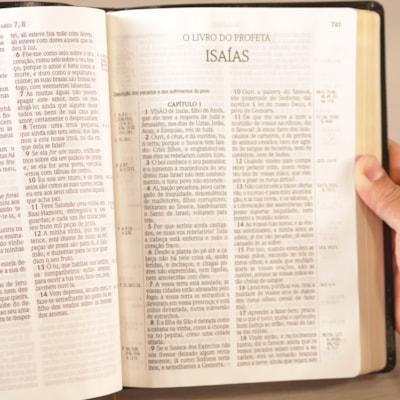 image_c93425d3-e033-414b-9ca9-feee8bdea5a8