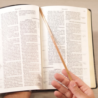 image_3fde0988-961a-40db-8559-1485f00e6a7e