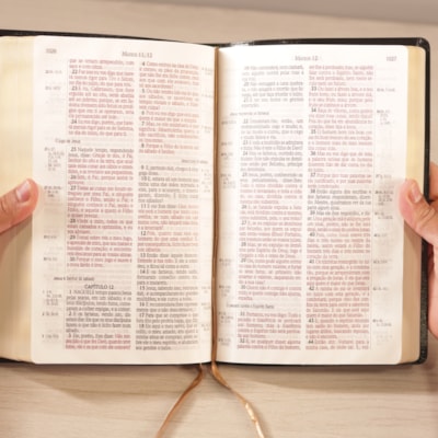 image_938fe704-064d-491a-b653-c4dd82791151