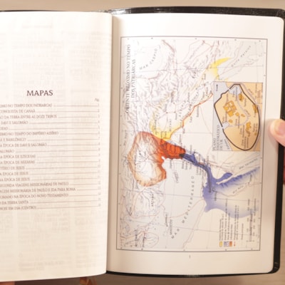 image_291a9e39-0c5a-4d18-8c72-48a7b031032c