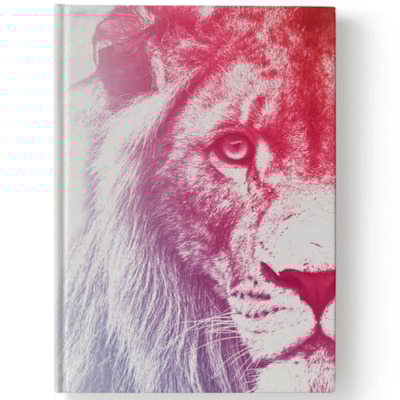 Imagem Principal - bc6af12a-93fe-4cbb-b327-152e98a43e46