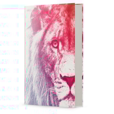 image_2c72f1ef-2cad-440b-b14d-d6e4d207d772