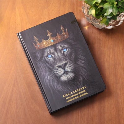 image_dd880233-e9a5-4c8c-9161-8d5190c83c38