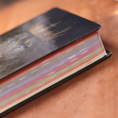 image_e4ceba25-7bea-4e46-8010-9bfae8c6f8cf