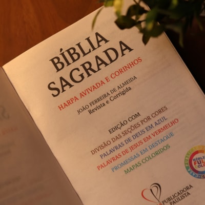 image_16aea9ba-436a-4463-890e-50cb375a5b64