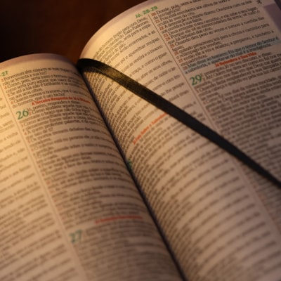 image_3288ba18-4772-418a-b94c-c762ff7f3bcd