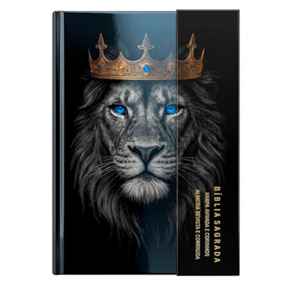 Imagem Principal - 242def31-ffa4-4eb0-8cf4-c2618e8b7efe