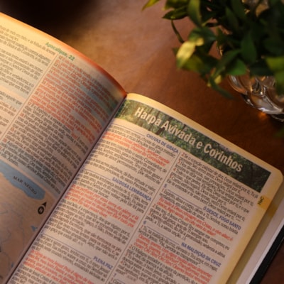 image_4dfc4e50-b826-4609-8c3a-d159cd1bf404