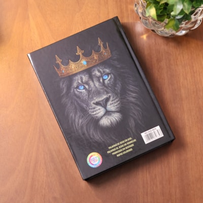 image_2f82f598-889a-45a9-af2e-70246759f352