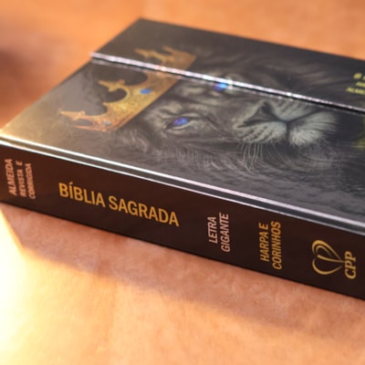 image_2c7c34a5-7d7f-4377-8a87-dce5ead57f9a