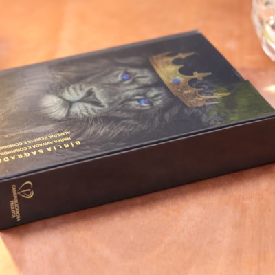 image_00622ef0-e2f6-4c4b-befa-c7c0a7d4a9a0