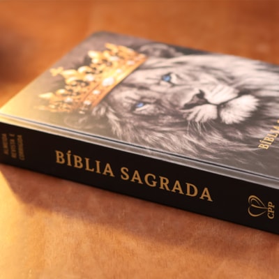 image_2b00c20b-7704-45fd-85d9-a1e13e3032a0