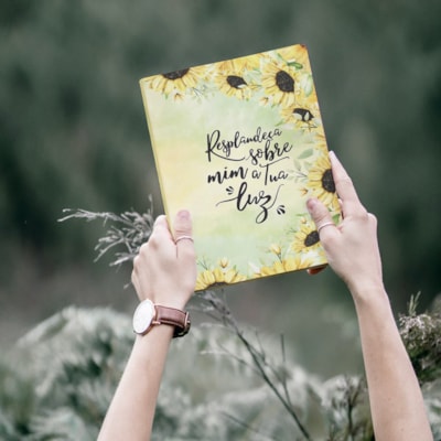 image_05366f14-dcb0-4073-8df1-cd8452365019