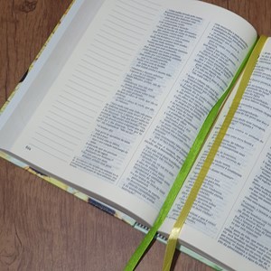 Bíblia Sagrada Resplandeça | NVI | Capa Dura com Espaço para Anotações