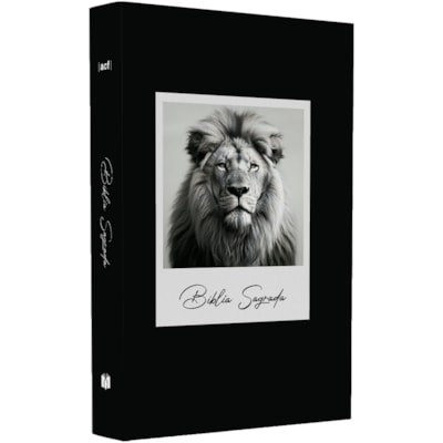 Imagem Principal - 57b38035-cf40-44d9-aef4-b63760d18c02