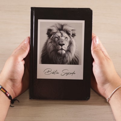 image_9c082725-ae44-4c1c-b829-31aa7ccf9acf