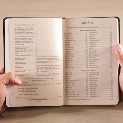 image_835f99b9-f1e1-4eab-90f0-dbcc504dfd14