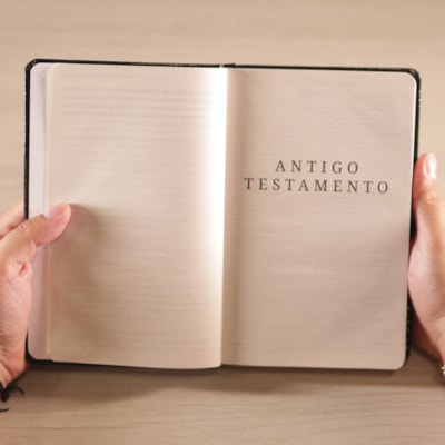 image_6672441e-6512-4f8a-908a-f61b910b5962