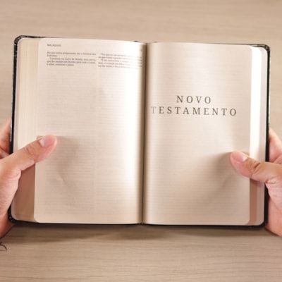 image_5fefdfe1-5e7a-4d51-9fcb-3615654365a6